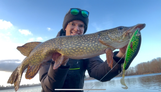 Phantom Pike 170S
